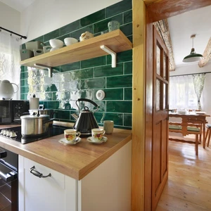 Rekonstrukce roubenky (4)