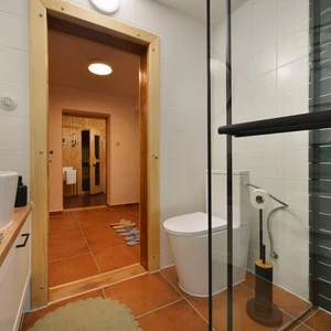 Rekonstrukce roubenky (9)